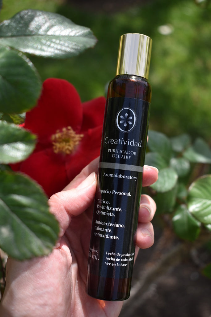 Bruma Purificante CREATIVIDAD. Aromaterapia. Bio. 55ml.